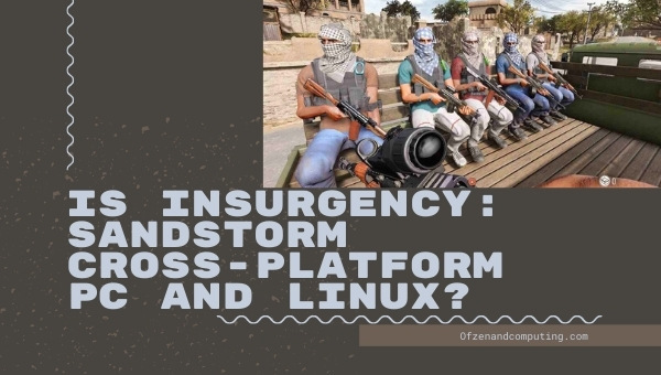 Is Insurgency: Sandstorm Cross-Platform PC And Linux?