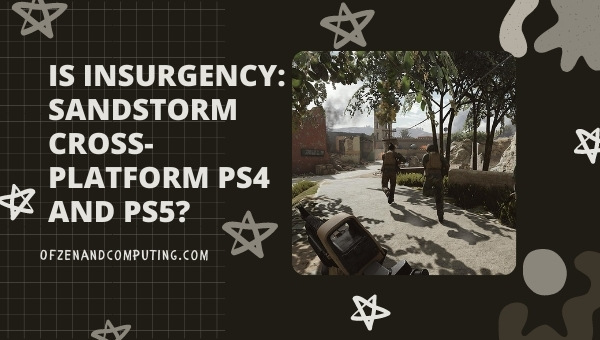 Is Insurgency: Sandstorm Cross-Platform PC And PS4/PS5?